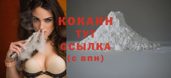 стафф Грязовец