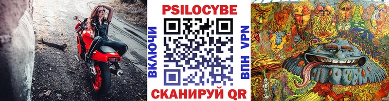 Псилоцибиновые грибы Psilocybe  Североуральск 